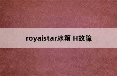 royaistar冰箱 H故障